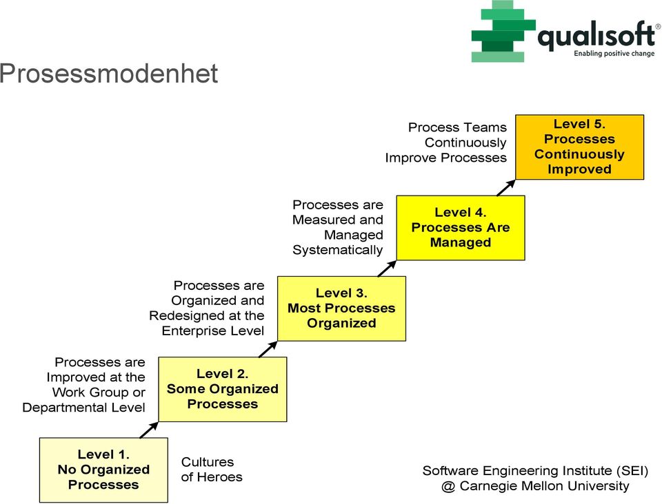 es Are Managed es are Organized and Redesigned at the Enterprise Level Level 3.