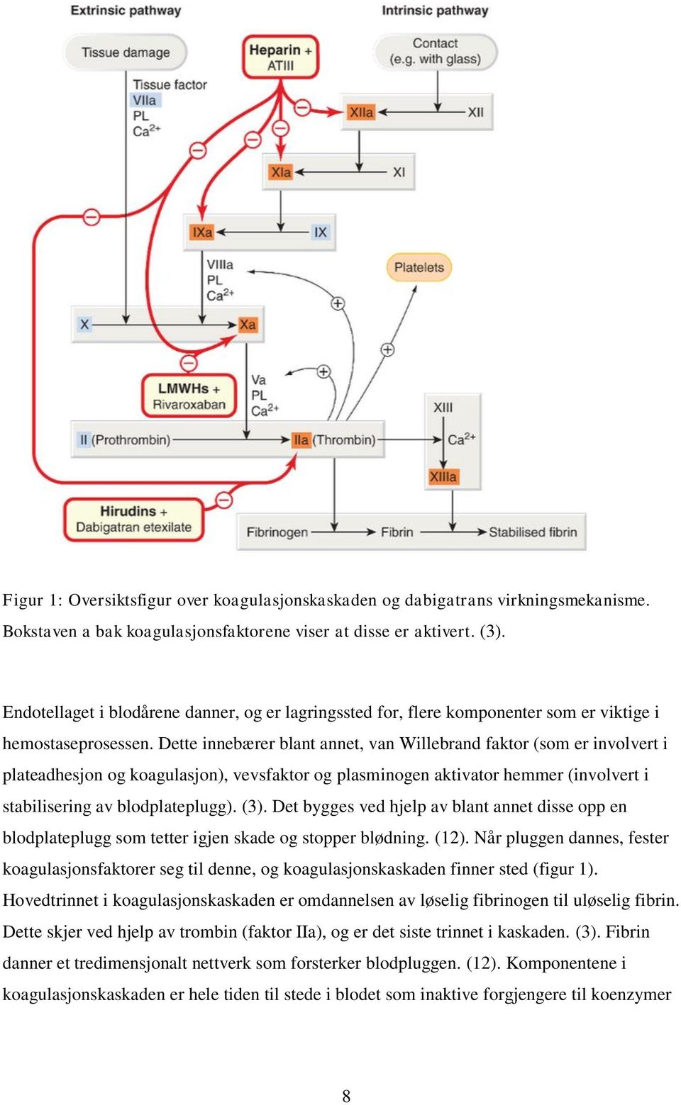 Dette innebærer blant annet, van Willebrand faktor (som er involvert i plateadhesjon og koagulasjon), vevsfaktor og plasminogen aktivator hemmer (involvert i stabilisering av blodplateplugg). (3).