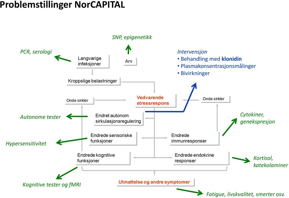 klonidin Plasmakonsentrasjonsmålinger Bivirkninger Onde sirkler Vedvarende stressrespons Onde sirkler Autonome tester Endret autonom sirkulasjonsregulering