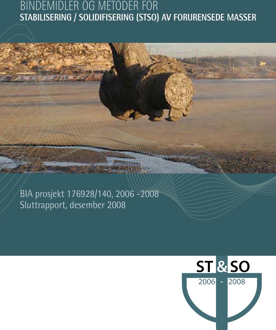 MASSER BIA prosjekt 176928/140, 2006-2008