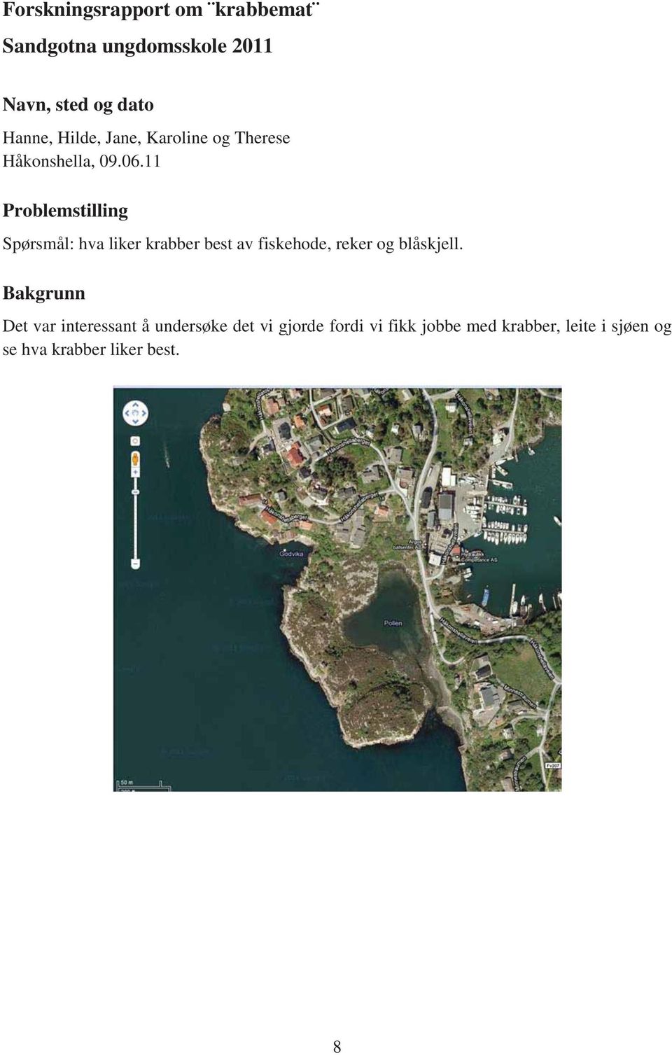 11 Problemstilling Spørsmål: hva liker krabber best av fiskehode, reker og blåskjell.