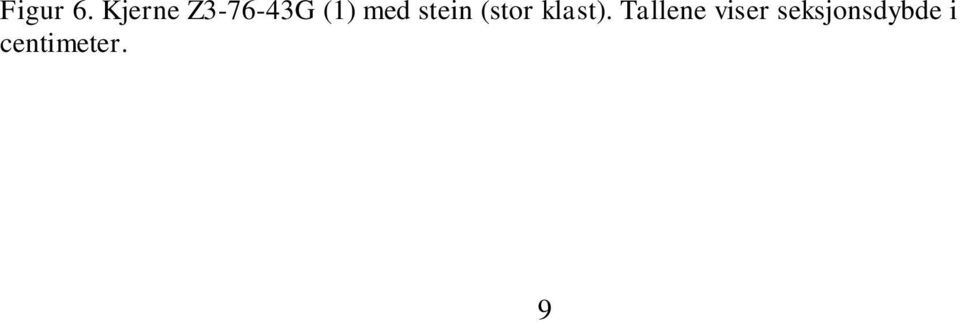 stein (stor klast).