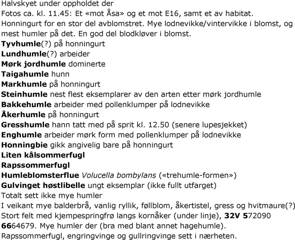 ) arbeider Mørk jordhumle dominerte Taigahumle hunn Markhumle på honningurt Steinhumle nest flest eksemplarer av den arten etter mørk jordhumle Bakkehumle arbeider med pollenklumper på lodnevikke