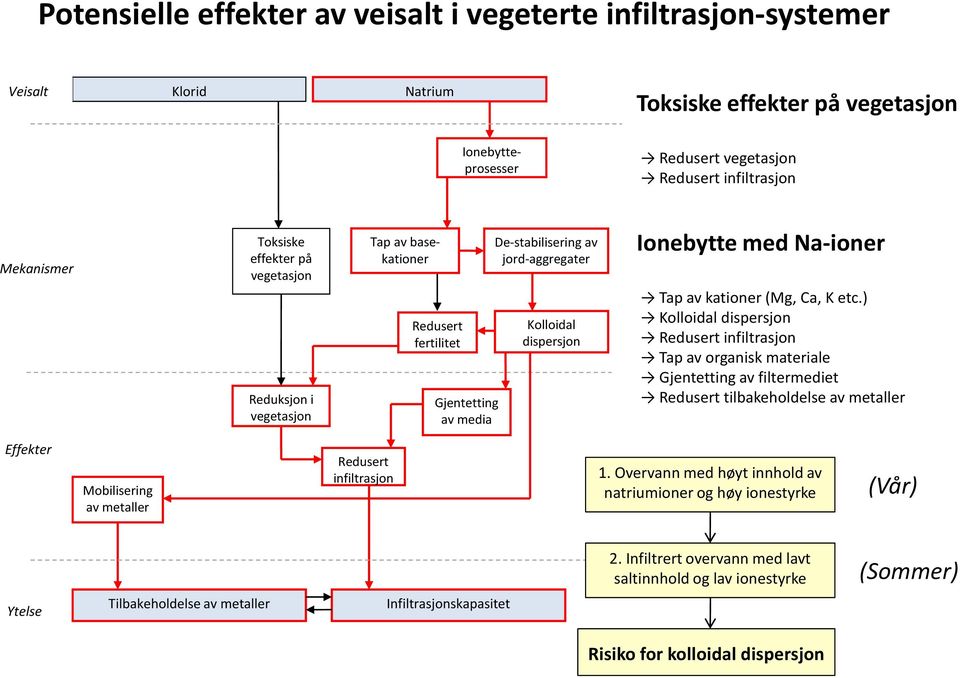 av kationer (Mg, Ca, K etc.