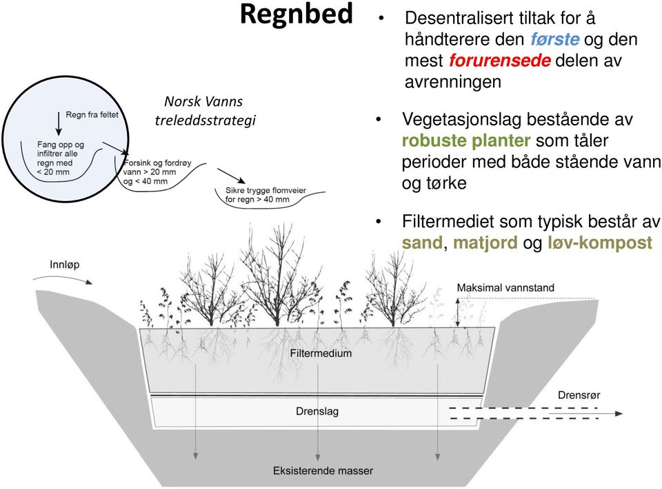 Vegetasjonslag bestående av robuste planter som tåler perioder med både