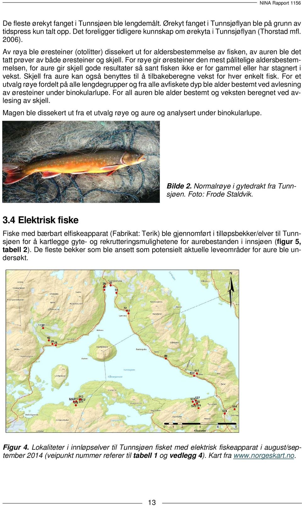 For røye gir øresteiner den mest pålitelige aldersbestemmelsen, for aure gir skjell gode resultater så sant fisken ikke er for gammel eller har stagnert i vekst.