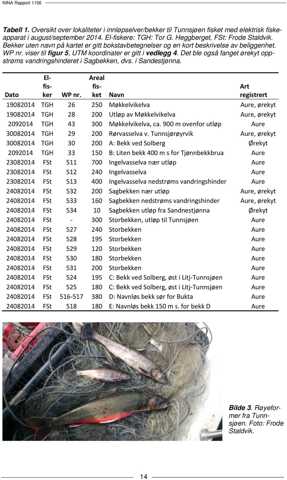 Det ble også fanget ørekyt oppstrøms vandringshinderet i Sagbekken, dvs. i Sandestjønna. Dato Elfisker WP nr.