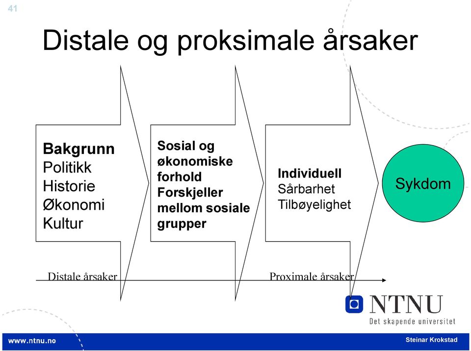 Forskjeller mellom sosiale grupper Individuell