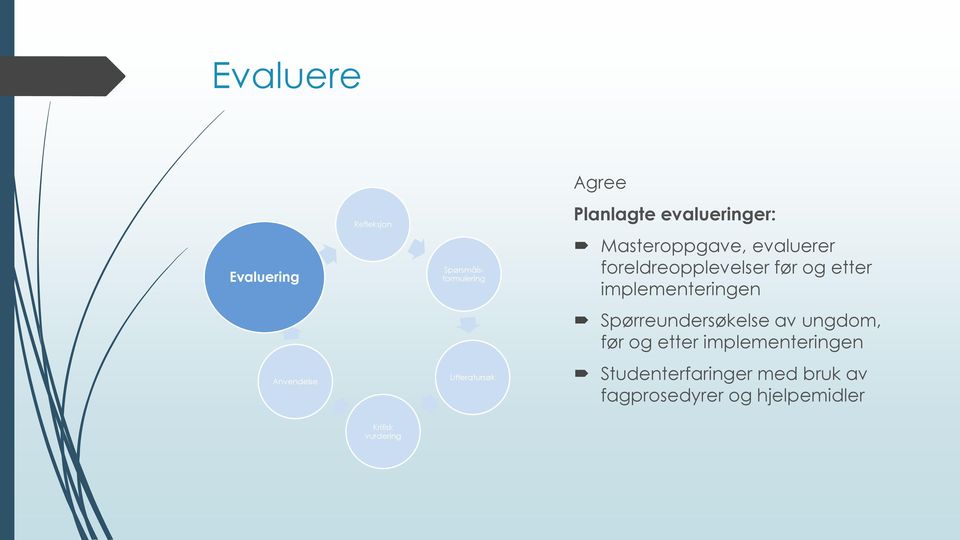 implementeringen Spørreundersøkelse av ungdom, før og etter implementeringen