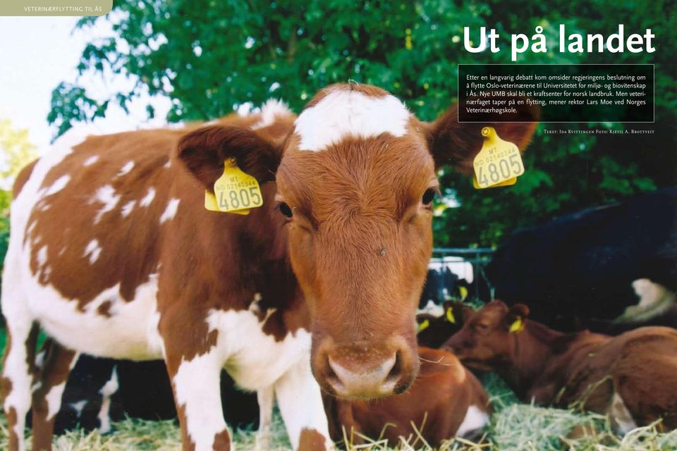 Nye UMB skal bli et kraftsenter for norsk landbruk.