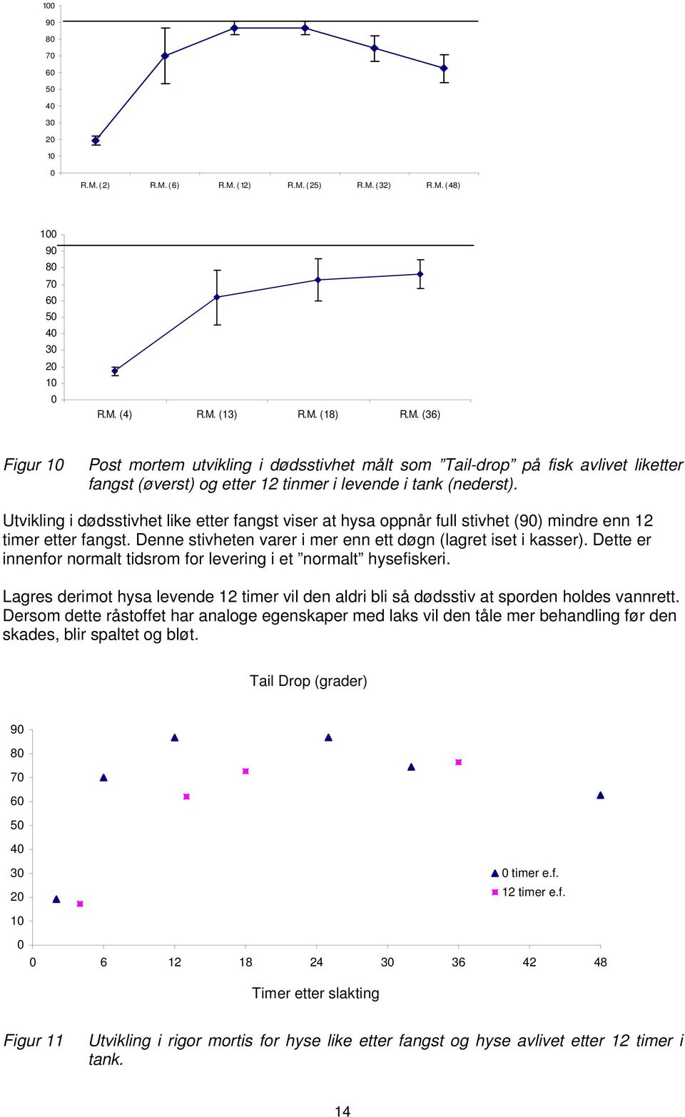 Dette er innenfor normalt tidsrom for levering i et normalt hysefiskeri. Lagres derimot hysa levende 12 timer vil den aldri bli så dødsstiv at sporden holdes vannrett.