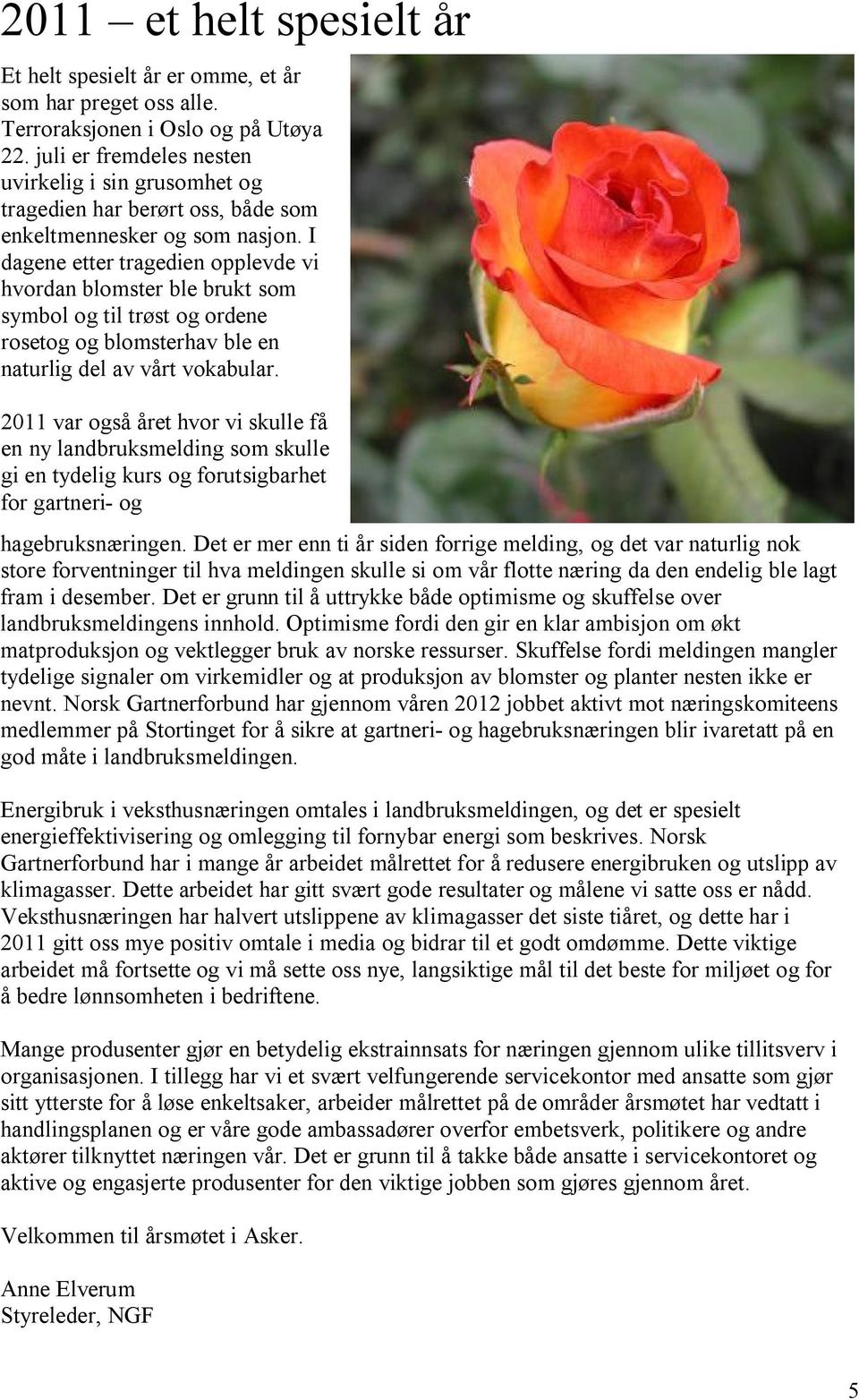 I dagene etter tragedien opplevde vi hvordan blomster ble brukt som symbol og til trøst og ordene rosetog og blomsterhav ble en naturlig del av vårt vokabular.