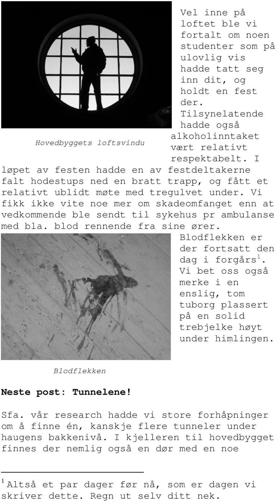 I løpet av festen hadde en av festdeltakerne falt hodestups ned en bratt trapp, og fått et relativt ublidt møte med tregulvet under.