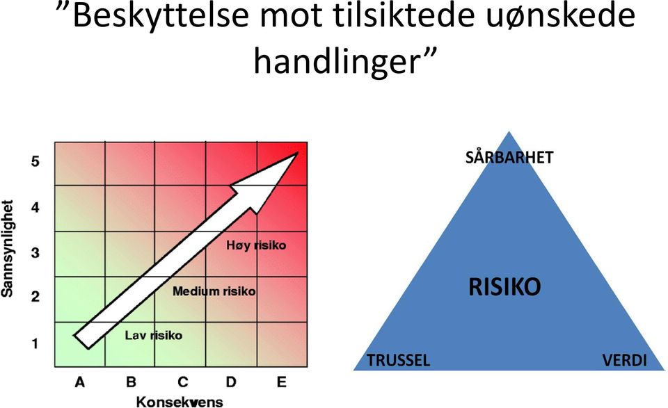 tilsiktede