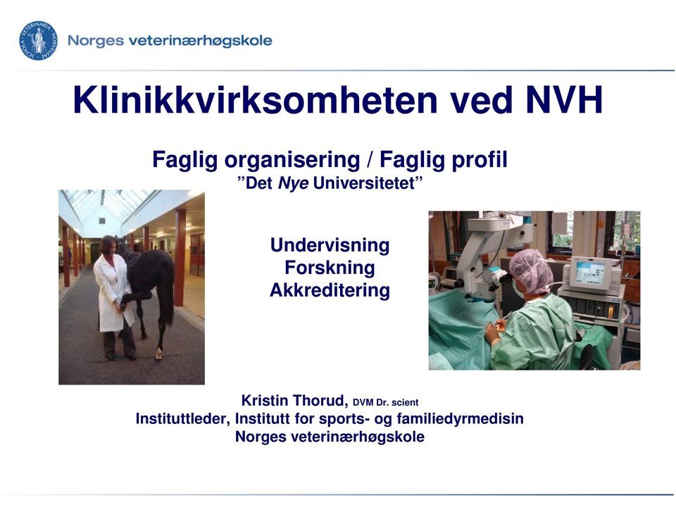 Akkreditering Kristin Thorud, DVM Dr.