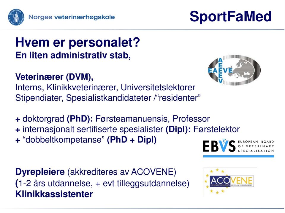 Stipendiater, Spesialistkandidateter / residenter + doktorgrad (PhD): Førsteamanuensis, Professor +