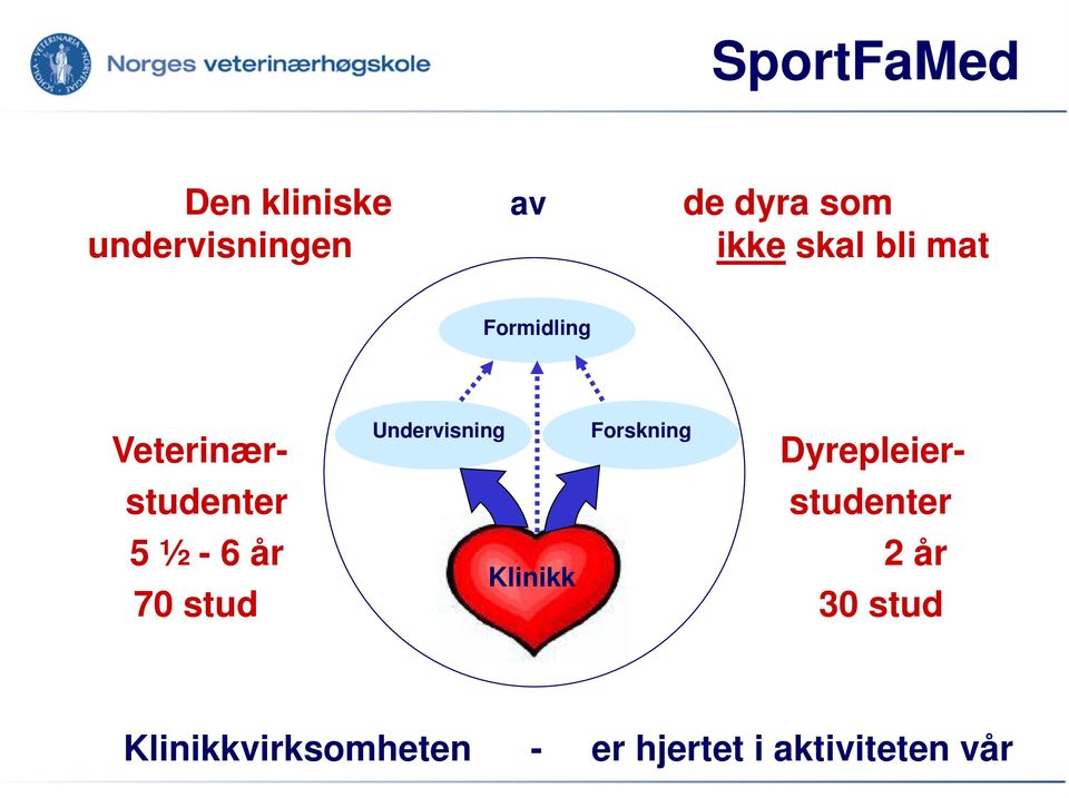 Veterinærstudenter Undervisning Forskning Klinikk 5 ½ - 6