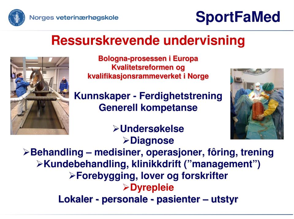 SportFaMed Undersøkelse Diagnose Behandling medisiner, operasjoner, fôring, trening