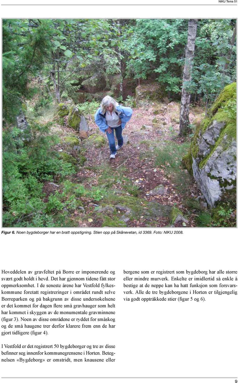 I de seneste årene har Vestfold fylkeskommune foretatt registreringer i området rundt selve Borreparken og på bakgrunn av disse undersøkelsene er det kommet for dagen flere små gravhauger som helt