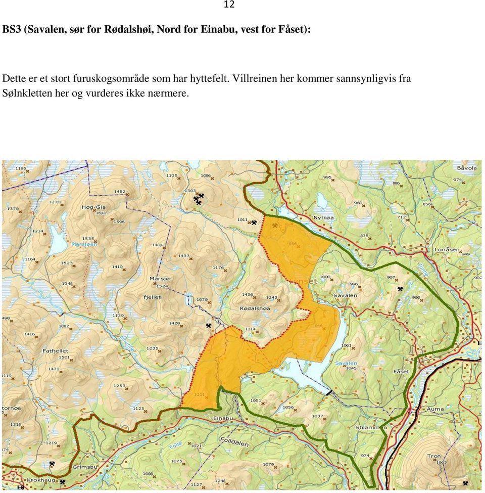 furuskogsområde som har hyttefelt.