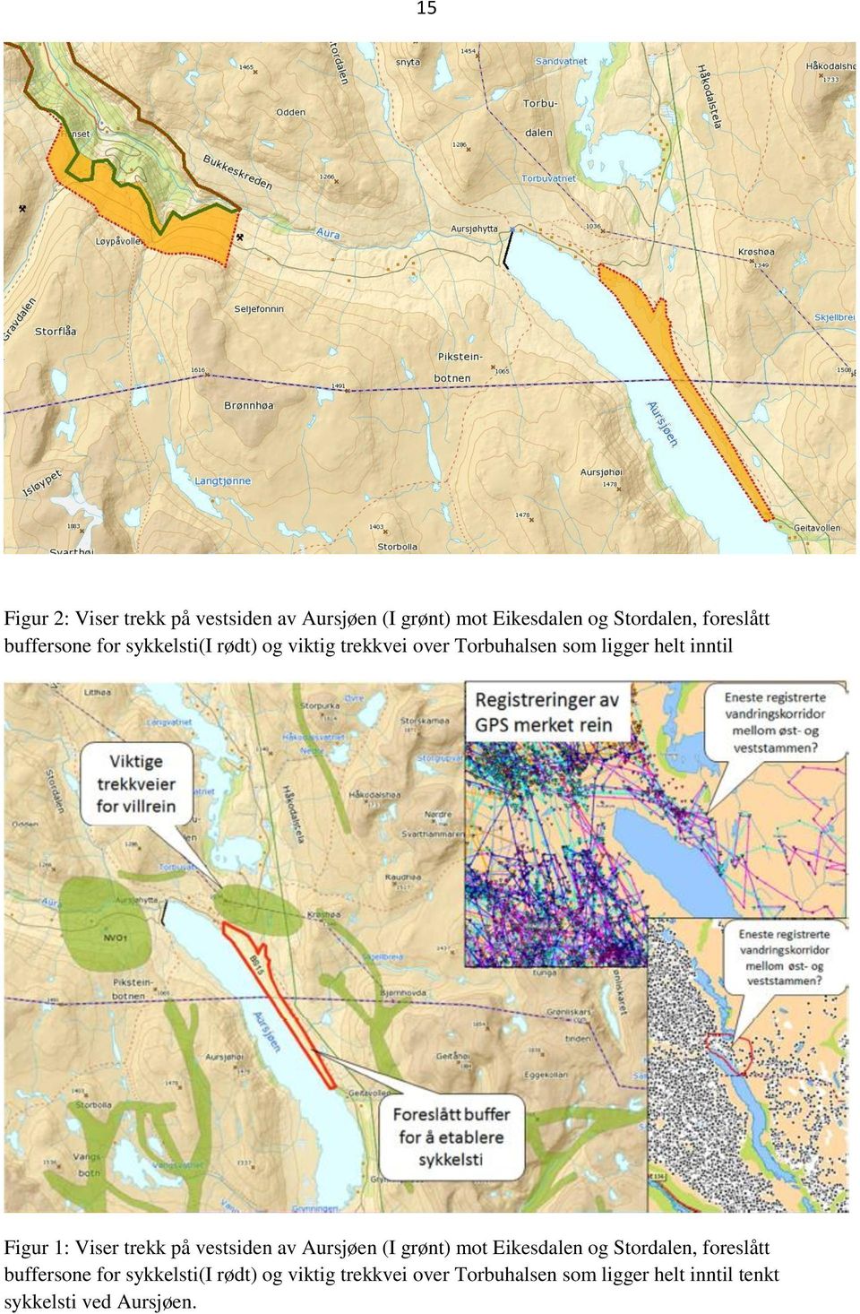 Viser trekk på vestsiden av Aursjøen (I grønt) mot Eikesdalen og Stordalen, foreslått buffersone for