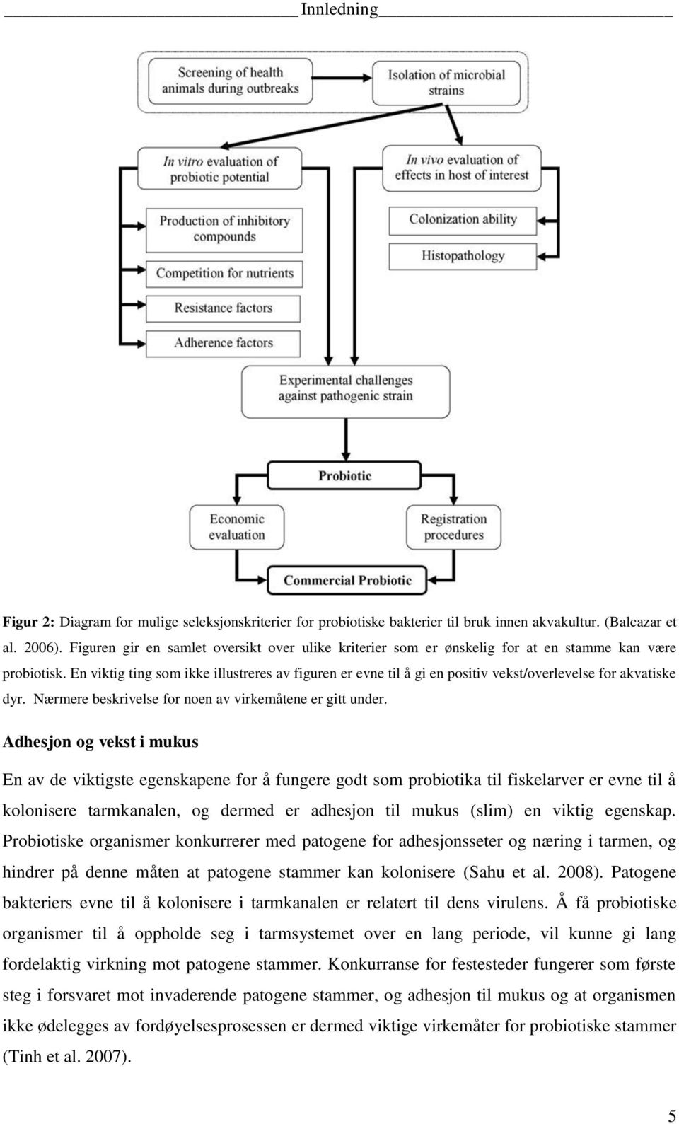 En viktig ting som ikke illustreres av figuren er evne til å gi en positiv vekst/overlevelse for akvatiske dyr. Nærmere beskrivelse for noen av virkemåtene er gitt under.