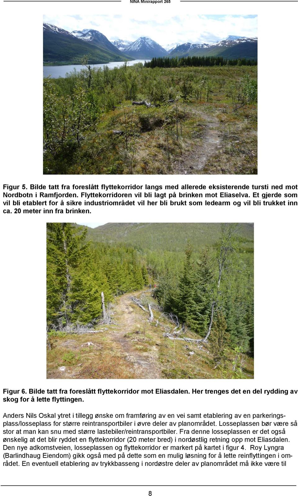 Bilde tatt fra foreslått flyttekorridor mot Eliasdalen. Her trenges det en del rydding av skog for å lette flyttingen.