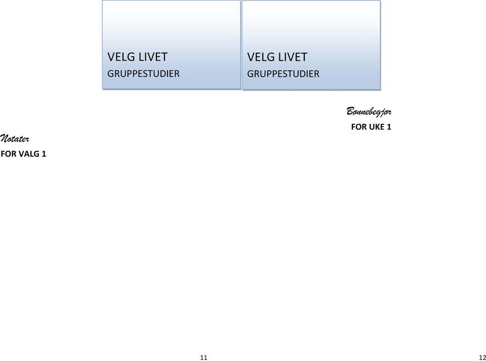 Notater FOR VALG 1