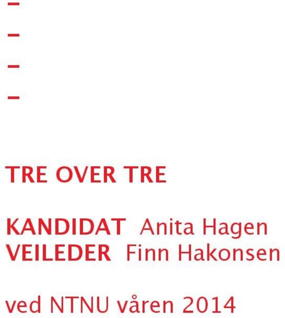 VEILEDER Finn