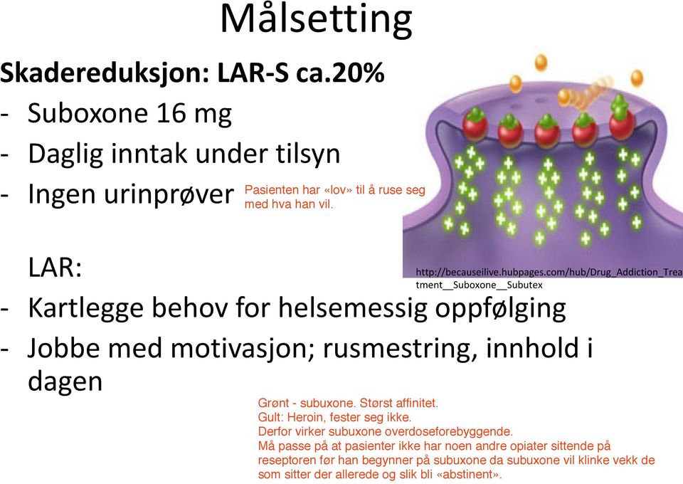 LAR: - Kartlegge behov for helsemessig oppfølging - Jobbe med