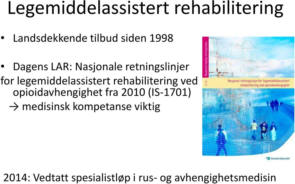 rehabilitering ved opioidavhengighet fra 2010 (IS-1701) medisinsk