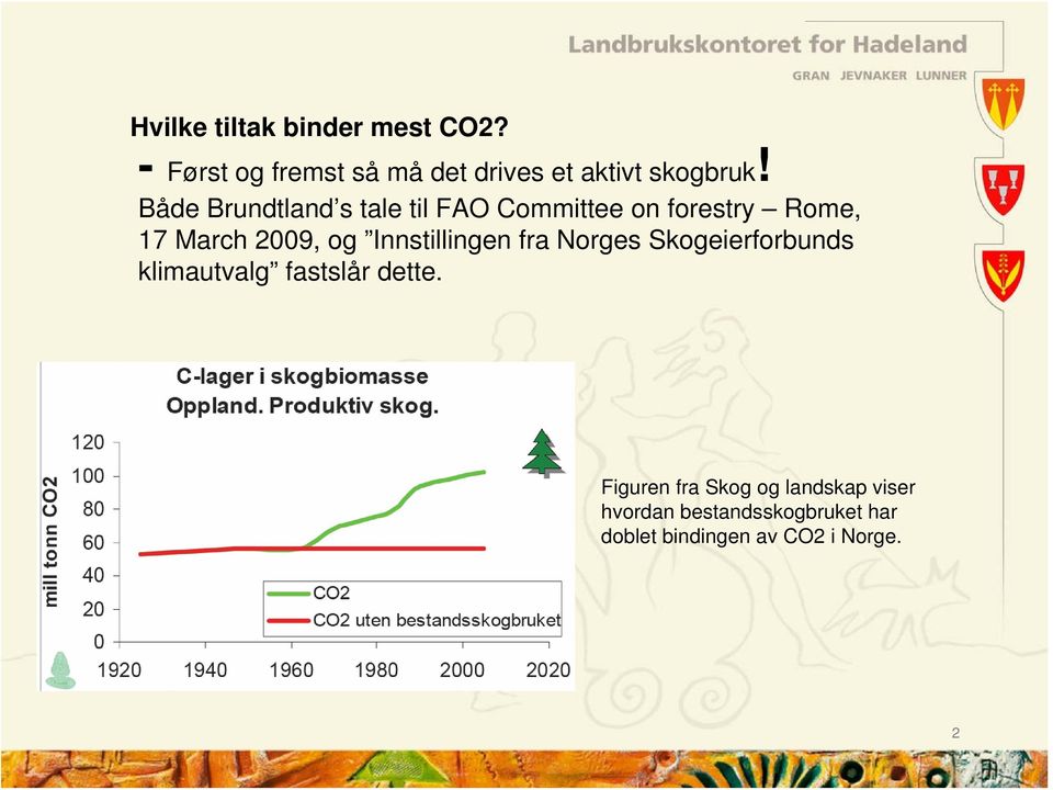 Både Brundtland s tale til FAO Committee on forestry Rome, 17 March 2009, og