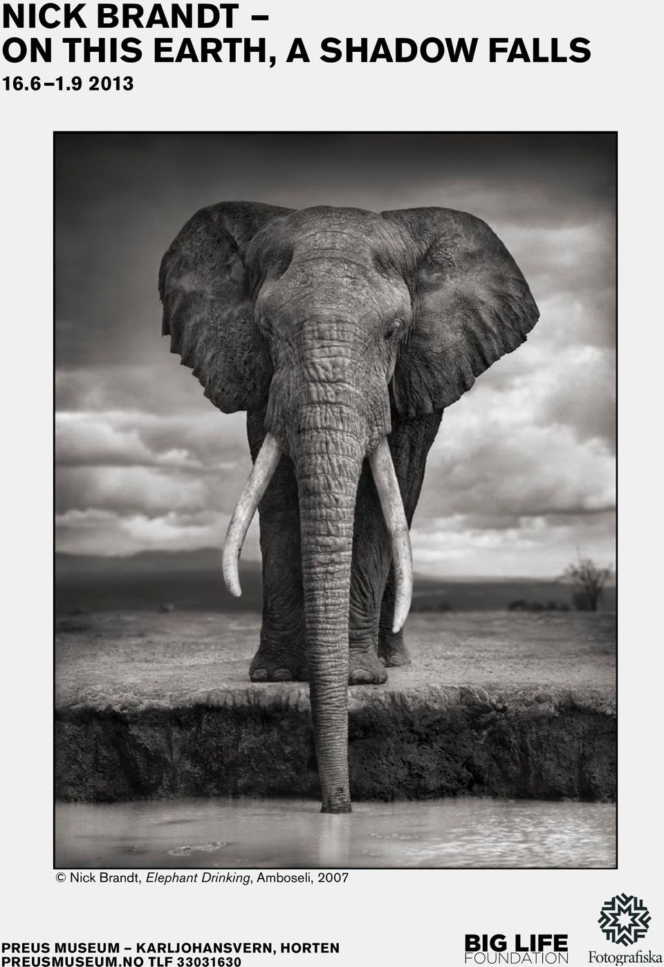 9 2013 Nick Brandt, Elephant Drinking,