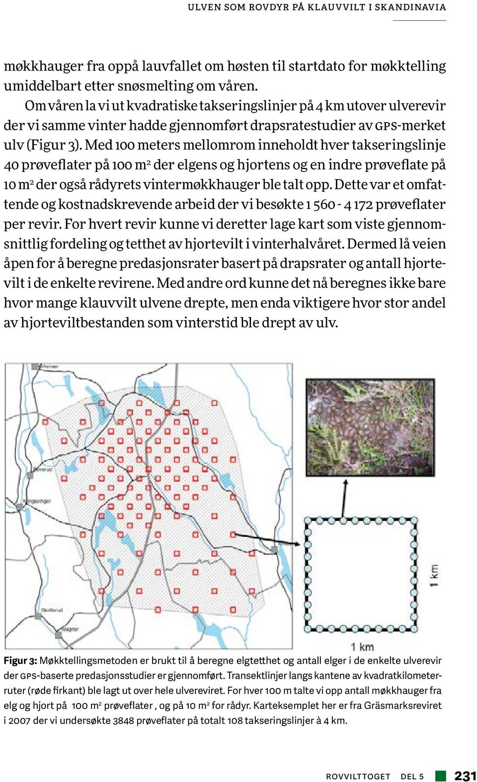 Med 100 meters mellomrom inneholdt hver takseringslinje 40 prøveflater på 100 m 2 der elgens og hjortens og en indre prøveflate på 10 m 2 der også rådyrets vintermøkkhauger ble talt opp.