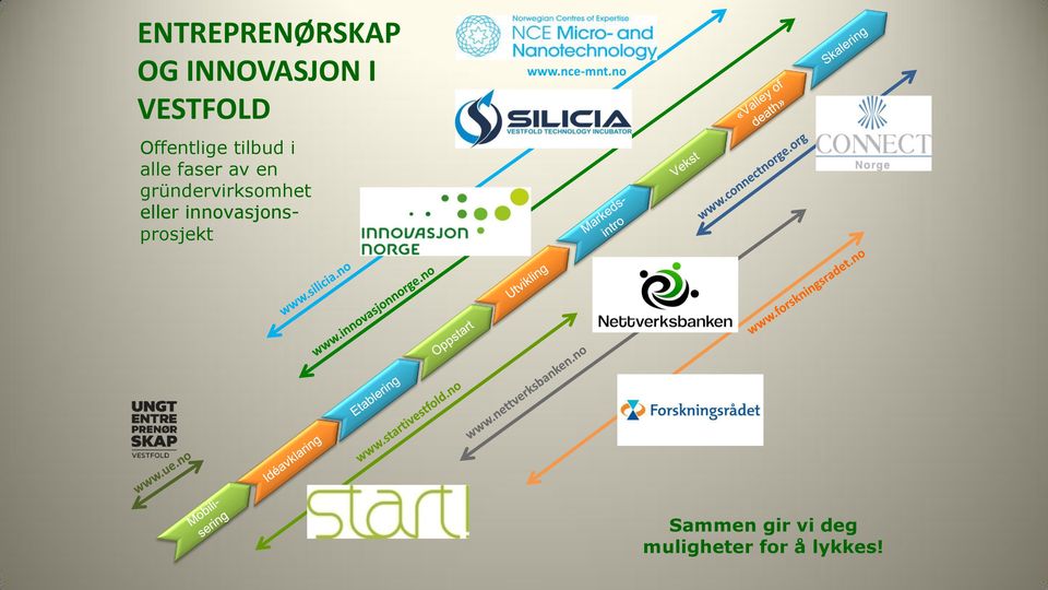 gründervirksomhet eller innovasjonsprosjekt