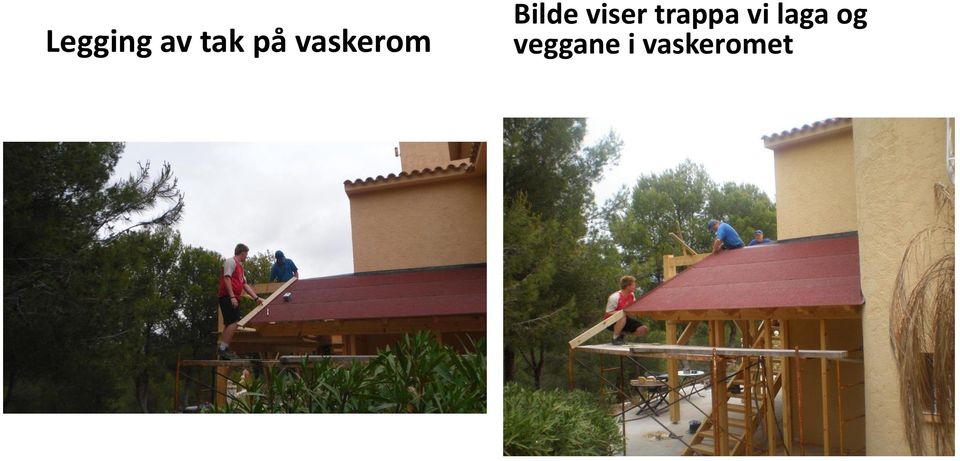 viser trappa vi