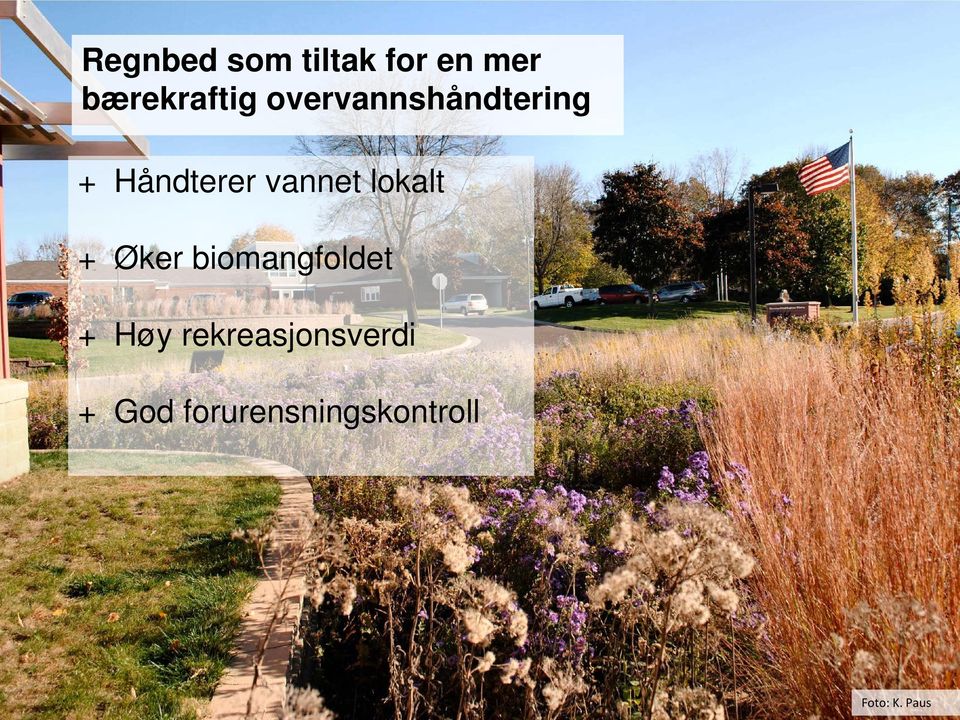 lokalt + Øker biomangfoldet + Høy