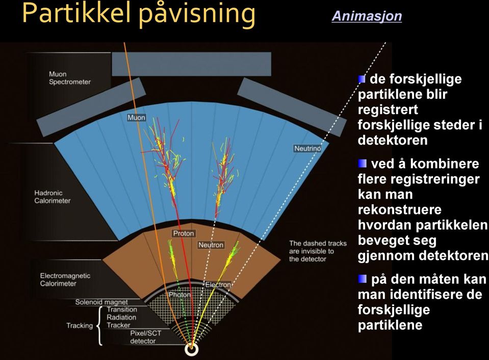 registreringer kan man rekonstruere hvordan partikkelen beveget seg