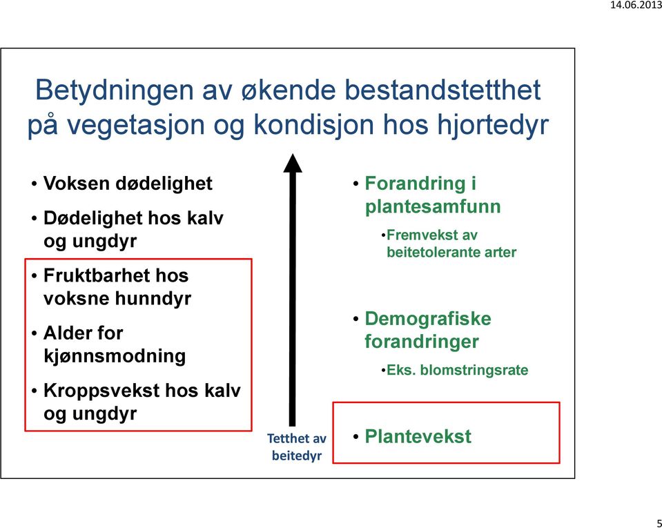 kjønnsmodning Kroppsvekst hos kalv og ungdyr Tetthet av beitedyr Forandring i plantesamfunn