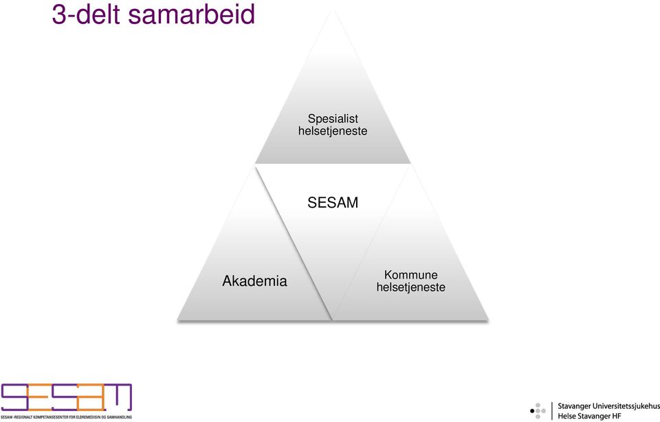 helsetjeneste SESAM