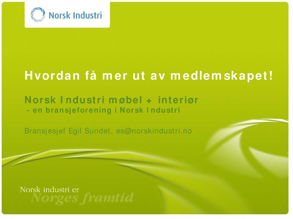 bransjeforening i Norsk Industri