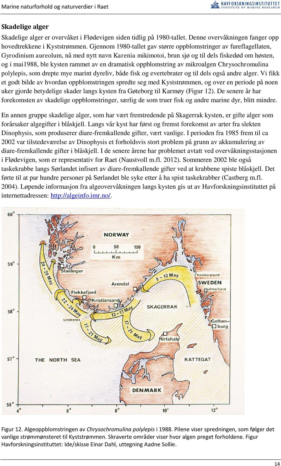 en dramatisk oppblomstring av mikroalgen Chrysochromulina polylepis, som drepte mye marint dyreliv, både fisk og evertebrater og til dels også andre alger.