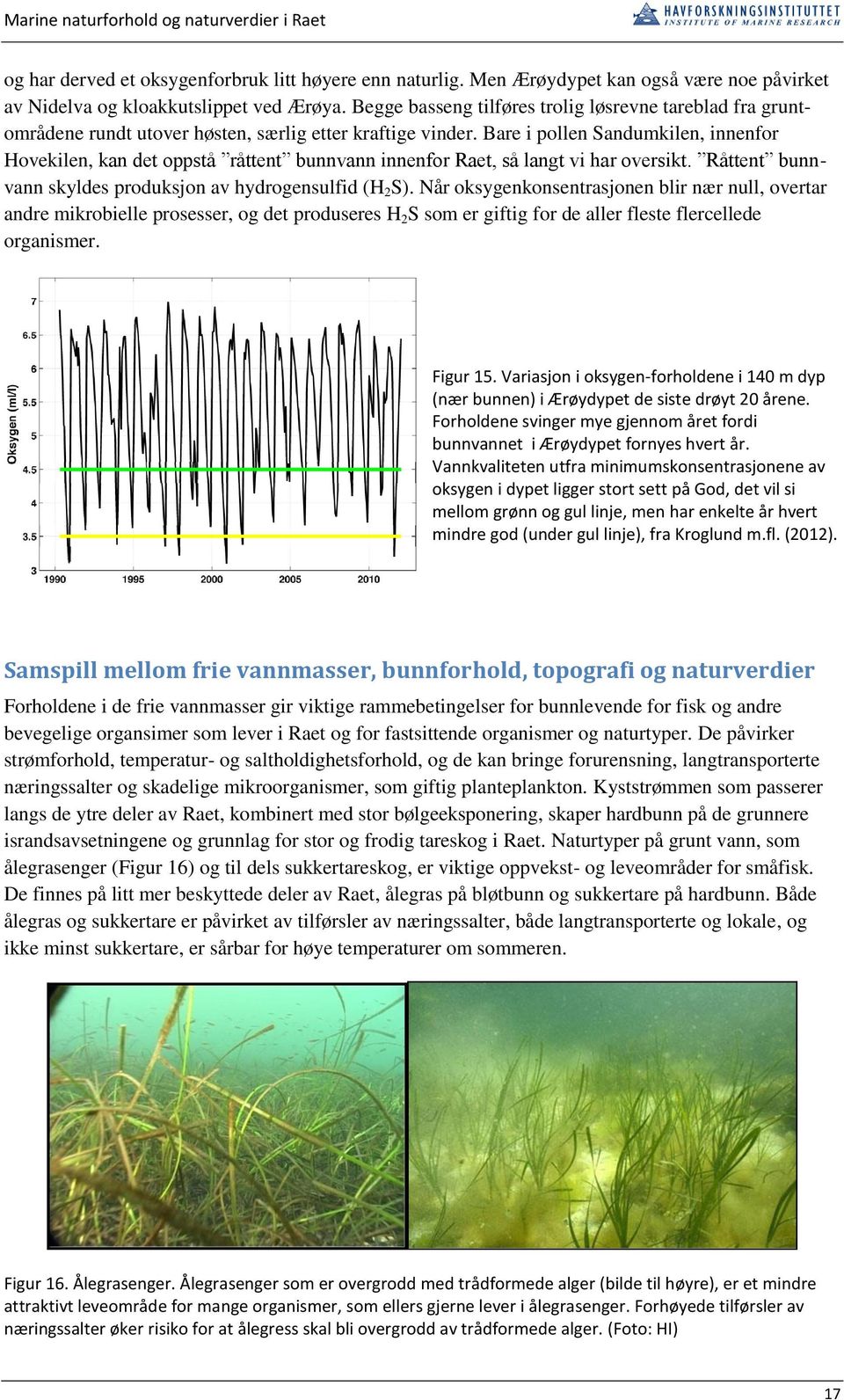 Bare i pollen Sandumkilen, innenfor Hovekilen, kan det oppstå råttent bunnvann innenfor Raet, så langt vi har oversikt. Råttent bunnvann skyldes produksjon av hydrogensulfid (H 2 S).