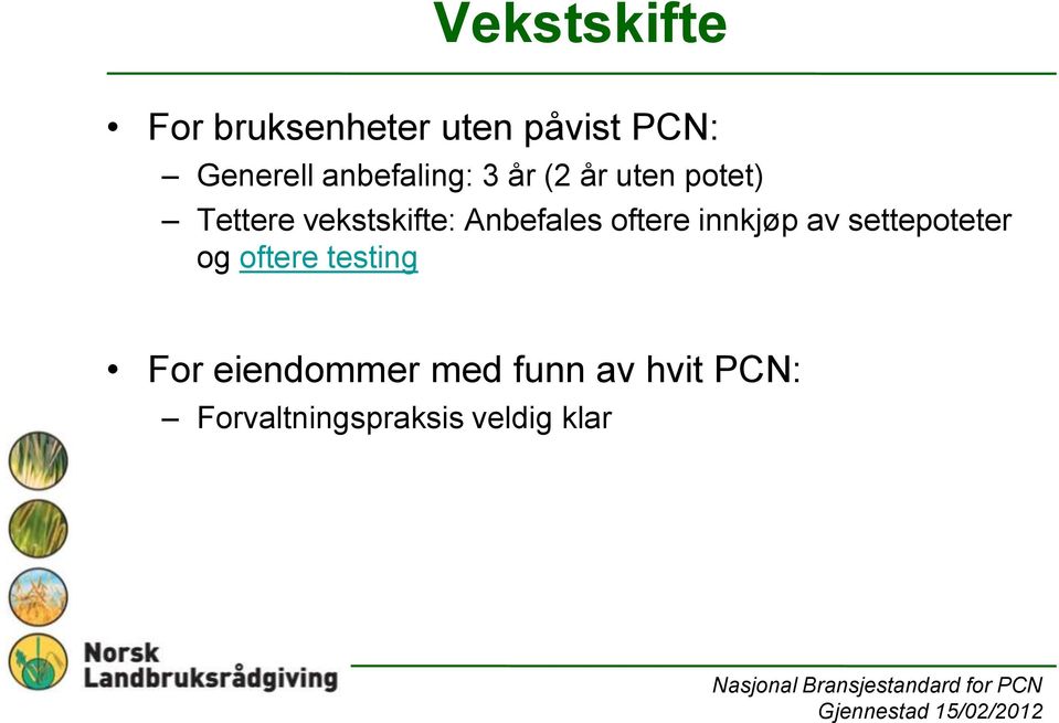 Anbefales oftere innkjøp av settepoteter og oftere testing