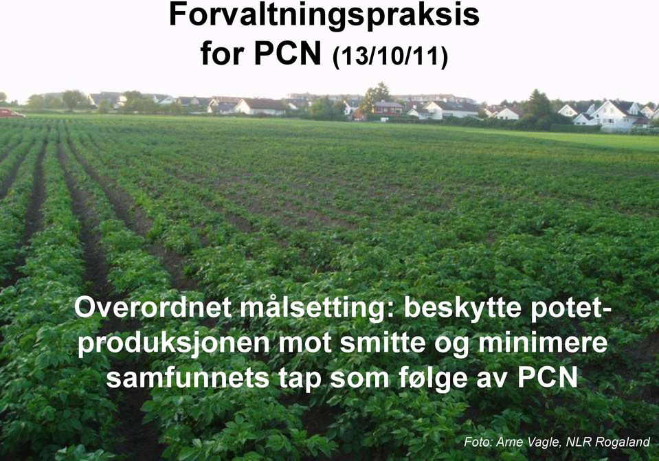 potetproduksjonen mot smitte og minimere