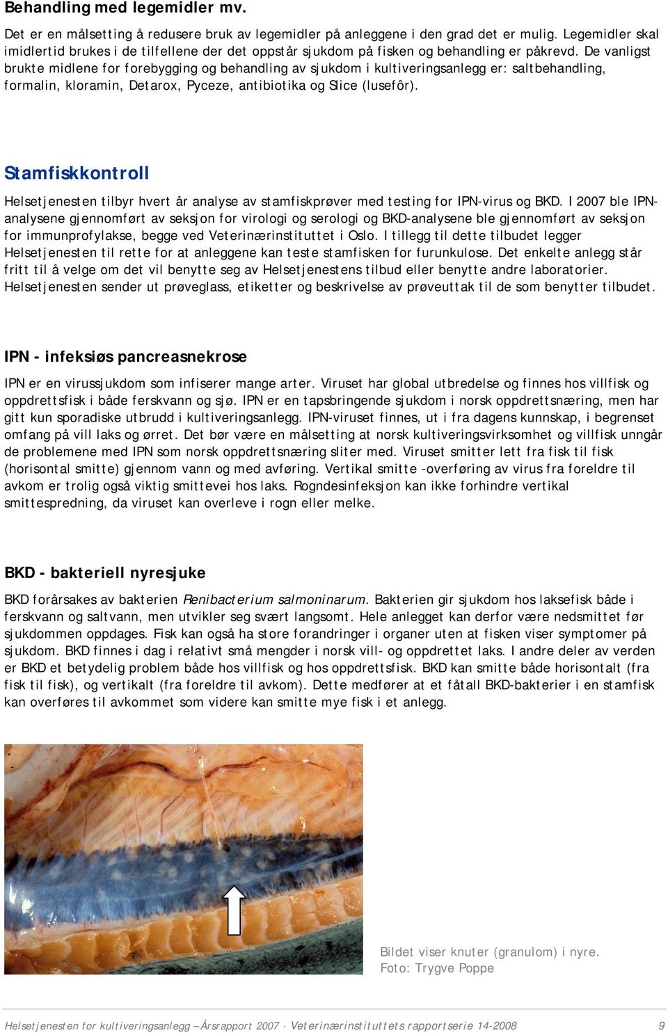 De vanligst brukte midlene for forebygging og behandling av sjukdom i kultiveringsanlegg er: saltbehandling, formalin, kloramin, Detarox, Pyceze, antibiotika og Slice (lusefôr).