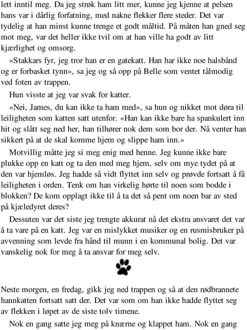 Han har ikke noe halsbånd og er forbasket tynn», sa jeg og så opp på Belle som ventet tålmodig ved foten av trappen. Hun visste at jeg var svak for katter.