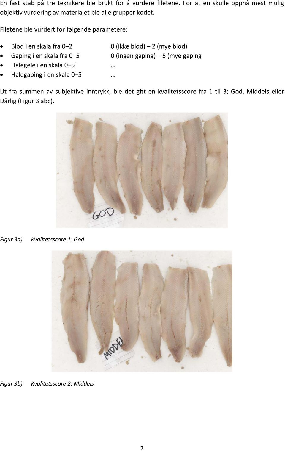 Filetene ble vurdert for følgende parametere: Blod i en skala fra 0 2 0 (ikke blod) 2 (mye blod) Gaping i en skala fra 0 5 0 (ingen