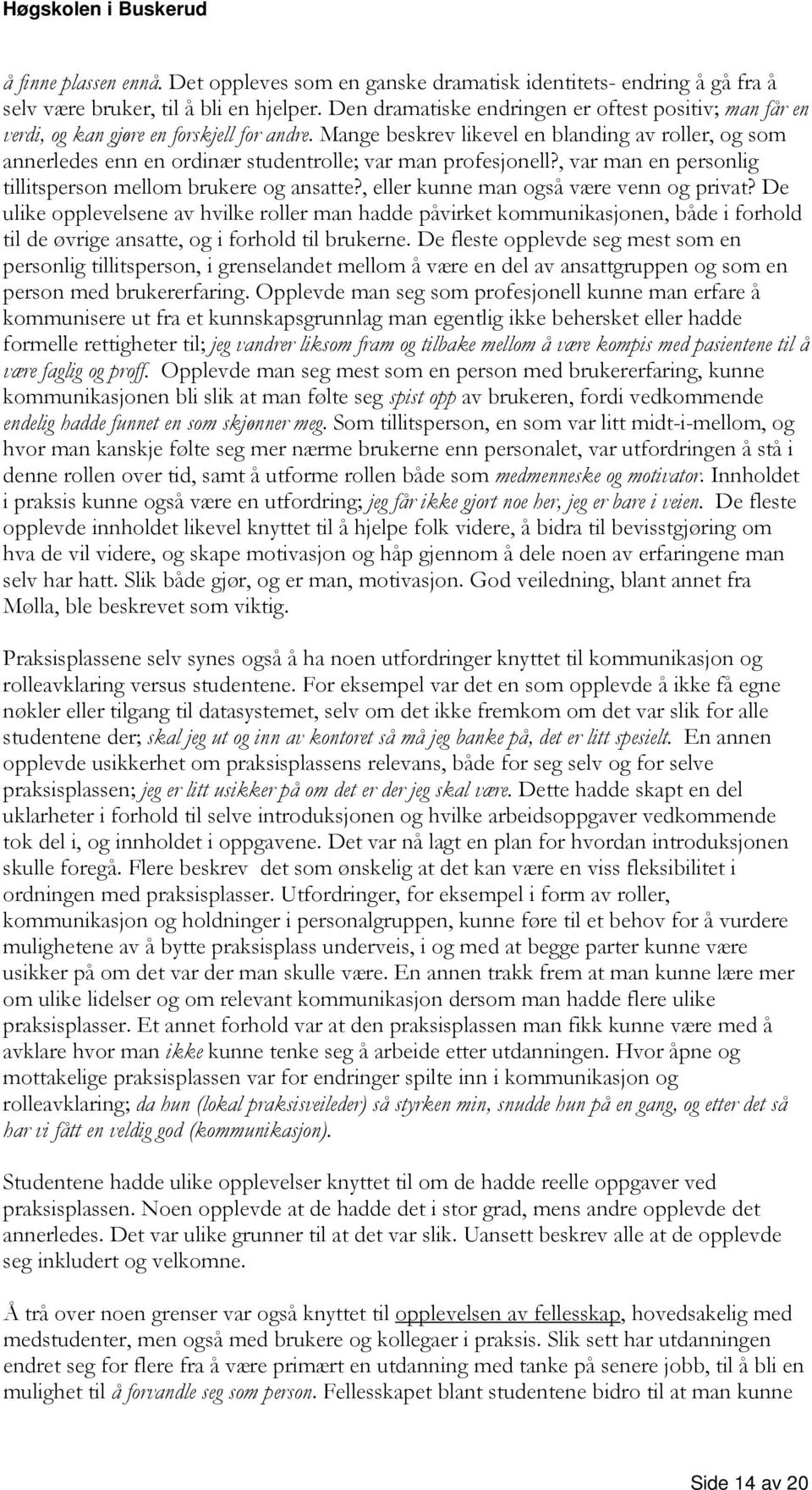 Mange beskrev likevel en blanding av roller, og som annerledes enn en ordinær studentrolle; var man profesjonell?, var man en personlig tillitsperson mellom brukere og ansatte?