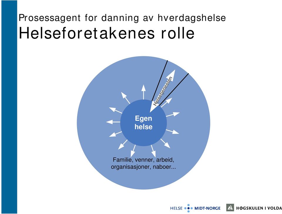 rolle Helsetjenesten Egen helse